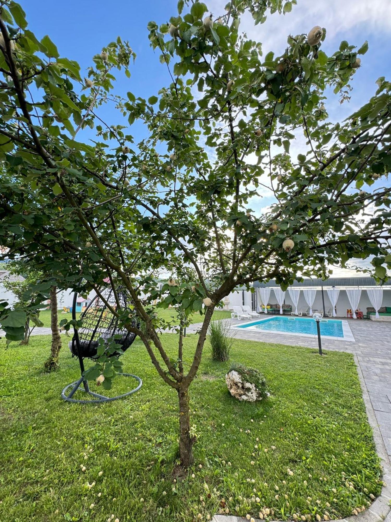 Family Estate Hadzalova Avlija Villa Bihać Dış mekan fotoğraf